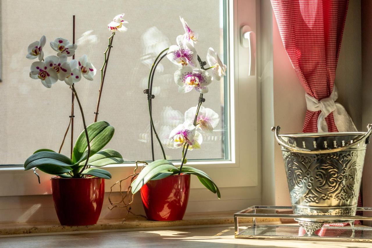 Ferienwohnung Jenzigblick Jena Esterno foto